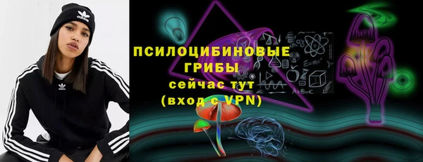 a pvp Алзамай