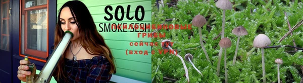 PSILOCYBIN Алексеевка